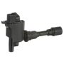 DELPHI GN10437 Ignition Coil