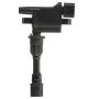 DELPHI GN10437 Ignition Coil