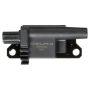 DELPHI GN10438 Ignition Coil