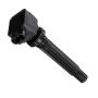 DELPHI GN10439 Ignition Coil