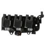 DELPHI GN10462 Ignition Coil