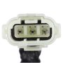 DELPHI GN10467 Ignition Coil