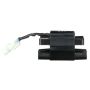 DELPHI GN10467 Ignition Coil
