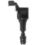DELPHI GN10485 Ignition Coil