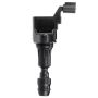 DELPHI GN10485 Ignition Coil