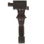 DELPHI GN10499 Ignition Coil