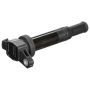 DELPHI GN10569 Ignition Coil