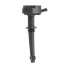 DELPHI GN10591 Ignition Coil