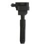 DELPHI GN10604 Ignition Coil