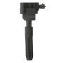 DELPHI GN10604 Ignition Coil