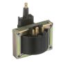 DELPHI GN10609 Ignition Coil
