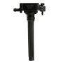 DELPHI GN10616 Ignition Coil
