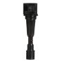 DELPHI GN10637 Ignition Coil