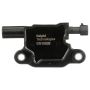 DELPHI GN10639 Ignition Coil
