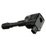 DELPHI GN10646 Ignition Coil