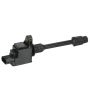 DELPHI GN10670 Ignition Coil