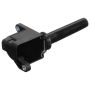 DELPHI GN10676 Ignition Coil