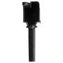 DELPHI GN10676 Ignition Coil