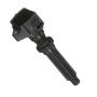 DELPHI GN10725 Ignition Coil