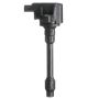 DELPHI GN10734 Ignition Coil