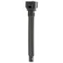 DELPHI GN10738 Ignition Coil