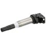 DELPHI GN10765 Ignition Coil
