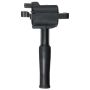 DELPHI GN10775 Ignition Coil