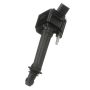 DELPHI GN10796 Ignition Coil