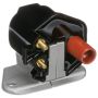 DELPHI GN10845 Ignition Coil