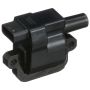 DELPHI GN10847 Ignition Coil