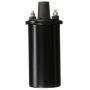 DELPHI GN10854 Ignition Coil