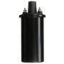 DELPHI GN10854 Ignition Coil
