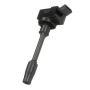 DELPHI GN10861 Ignition Coil
