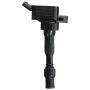 DELPHI GN10877 Ignition Coil