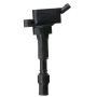 DELPHI GN10877 Ignition Coil
