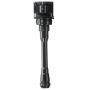 DELPHI GN10879 Ignition Coil