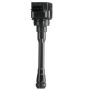 DELPHI GN10879 Ignition Coil