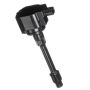 DELPHI GN10886 Ignition Coil