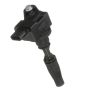 DELPHI GN10889 Ignition Coil