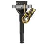 DELPHI GN10890 Ignition Coil