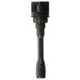 DELPHI GN10906 Ignition Coil