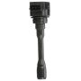 DELPHI GN10906 Ignition Coil
