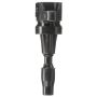 DELPHI GN10910 Ignition Coil