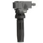 DELPHI GN10957 Ignition Coil