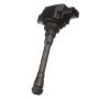 DELPHI GN10959 Ignition Coil