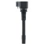 DELPHI GN11142 Ignition Coil