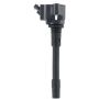 DELPHI GN11142 Ignition Coil