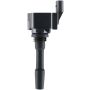 DELPHI GN11167 Ignition Coil