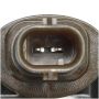 DELPHI HM10146 Direct Injection High Pressure Fuel Pump