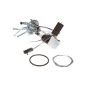 DELPHI HP10002 Fuel Pump Hanger Assembly
